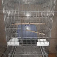 قفس بزرگ 1033