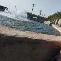 نگهبانی