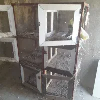 قفس کبوتر