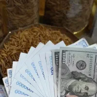 میلورم خشک.اموزش حرفه ای