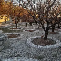 فنس کشی،محوطه سازی، آلاچیق، آبیاری قطری،سم پاشی