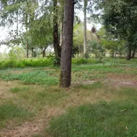 اجاره روزانه. ویلا باغ ساحلی استخر دار. بدون واسطه