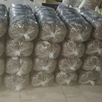 تخمه کانادایی خوشمزه وتازه