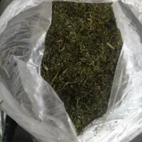 شوید خشک اعلا