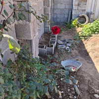 فروش باغچه ۱۰۰۰ متری|فروش خانه و ویلا|اندیمشک, |دیوار