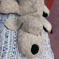 عروسک شاسخین و سگ خواب سبد چوبی میوه خوری|اسباببازی بچه|تهران, جوانمردان (اندیشه)|دیوار