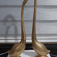 قو برنزی (نو نو)