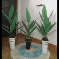 حراج تمام درختچه های وارداتی (درختچه مصنوعی خارجی)|گل مصنوعی|تهران, شهرک پاسداران|دیوار