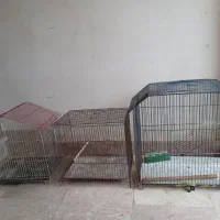 قفس پرنده