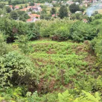 زمین ۱۰۰۰ تا ۴۵۰۰ متری باغی