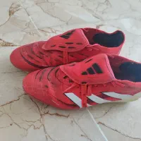 استوک پرداتور بلینگام|کیف، کفش، کمربند|نقده, |دیوار