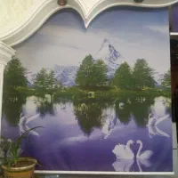 پرده زبرا  کاربرد در آشپزخانه. اتاق خواب و حمام