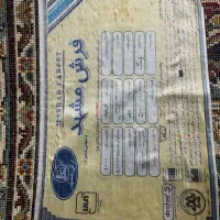 فرش ۱۲متری|فرش|مشهد, نکاح|دیوار
