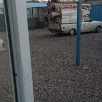 قالیشویی البرز|خدمات نظافت|محمدیه-قزوین, |دیوار