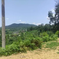 فروش فوری زمین ۷۴۵متری داخل طرح هادی، روستای چماچا|فروش زمین و ملک کلنگی|شفت, |دیوار