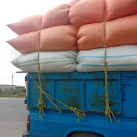 کاه نرمه خالص گندم