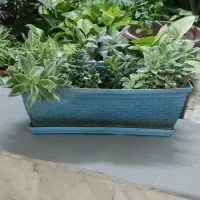 آپارتمانتو با این گلها زیباتر کن