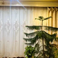 پرده|پرده، رانر، رومیزی|کرج, گوهردشت|دیوار