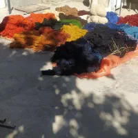 خومهکاملجهادیهمراهبانقشه