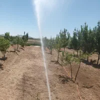 خدمات درست کردن استخرویلاشخم باتیلرسم پاشی باغبانی|خدمات باغبانی و درختکاری|اراک, |دیوار