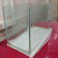 اکواریوم|ماهی|خرمشهر, |دیوار