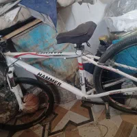 دوچرخه حرفه ای