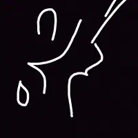 کیف کارتی گم شده