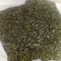 انخ تازه
