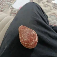 سنگ کله دایناسور
