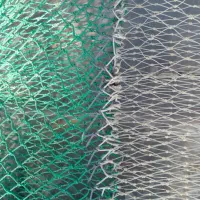 جل قایق حلوا|ماهیگیری|بمانی, |دیوار