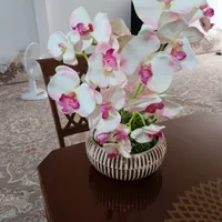 گل مصنوعی|گل مصنوعی|نیشابور, بنیاد شهید|دیوار