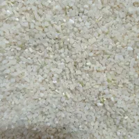 فروشی فوری لپه ی لوبیا برای تمامی مصرف کننده گان|عمدهفروشی|شیراز, شهرک ترکان|دیوار