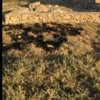 زمین-150متری-کوت-عبدالله-360-م