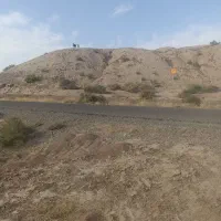 سه بره دوتا بز باهم 50