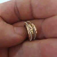 گوشواره گم شده