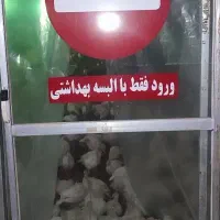جوجه بوقلمون بیوتی ۳۵ روزه درشت