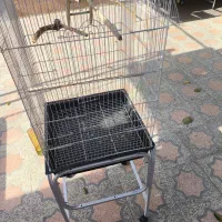 قفس پرنده کاسکو و عروس هلندی|لوازم جانبی حیوانات|اصفهان, آبشار|دیوار