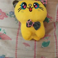 واگذاری گربه ماده اقیم شده  رابرعهده میگیرم