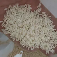 برنج طارم برنج محلی برنج مازندران|خوردنی و آشامیدنی|مشهد, ابوذر|دیوار