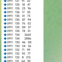 0911.136.1784