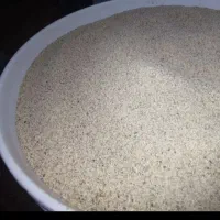 بذره درجه یک گل سفید