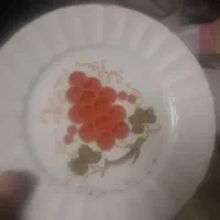 پشتقاب چینی|ظروف سرو و پذیرایی|کاشان, پامنار|دیوار