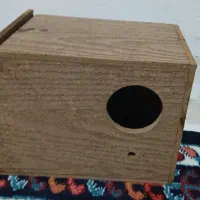 لونه چوبی