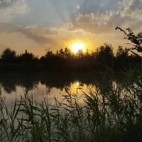 حلقه گم کردم