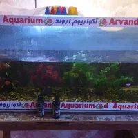 اکواریوم