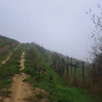 ۲۰۵ متر زمین در ییلاق زیبای لوییم با ویوی بی نظیر|فروش زمین و ملک کلنگی|رضوانشهر, |دیوار