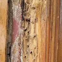 سمپاشی حشرات موضی سمپاش موریانه زدای سوسک ساس