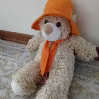 عروسک خرسی نو زیبا