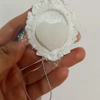 گیفت نبات شاین