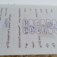 سگ قدرجونی نر 6ماهه|سگ|چوار, |دیوار